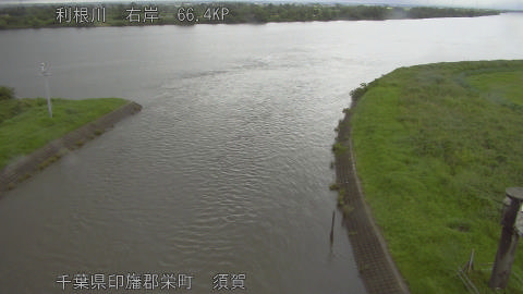 tonsu2026062109_image