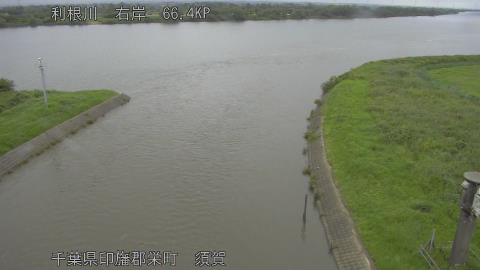 tonsu2026062110_image