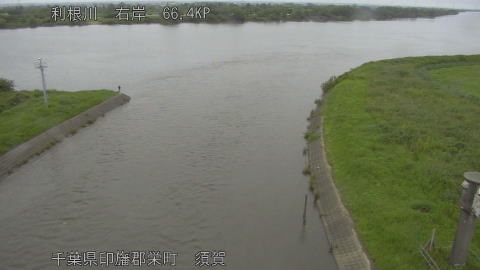 tonsu2026062111_image