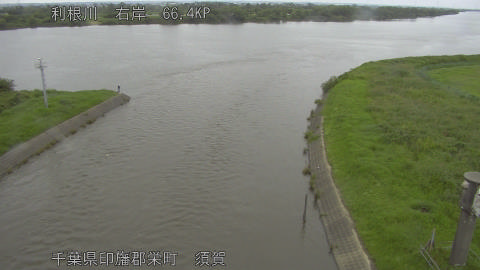 tonsu2026062112_image