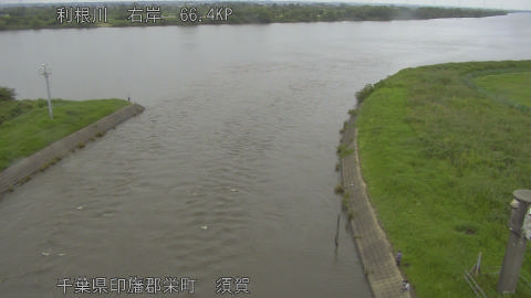 tonsu2026062114_image