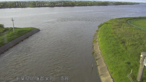 tonsu2026062118_image