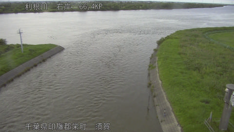 tonsu2026062119_image