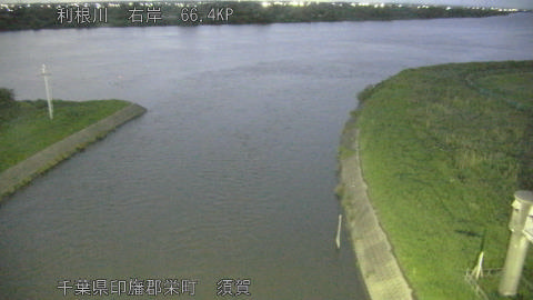 tonsu2026062120_image