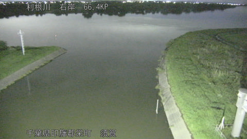 tonsu2026062123_image
