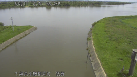 tonsu2026062211_image