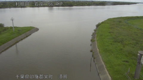 tonsu2026062213_image