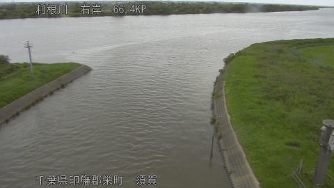 tonsu2026062217_image