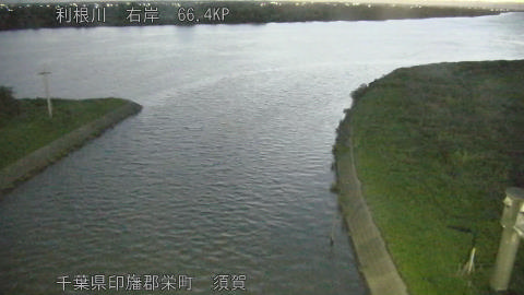 tonsu2026062304_image