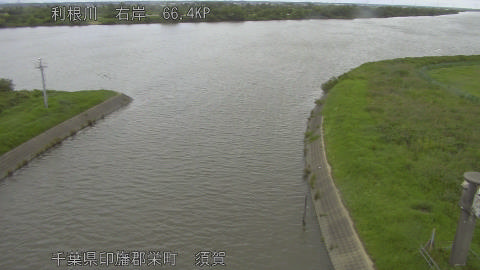 tonsu2026062309_image