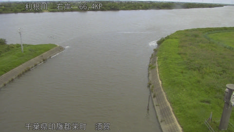 tonsu2026062310_image