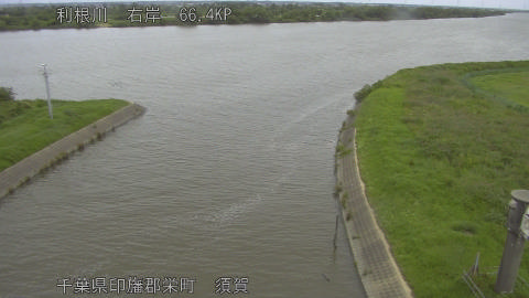 tonsu2026062311_image