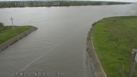 tonsu2026062312_image