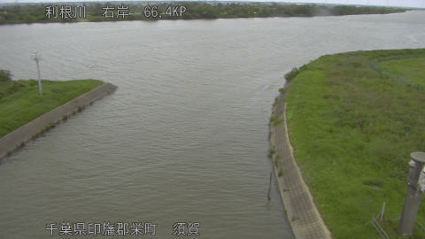 tonsu2026062313_image