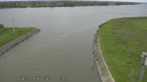 tonsu2026062314_image