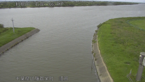tonsu2026062315_image