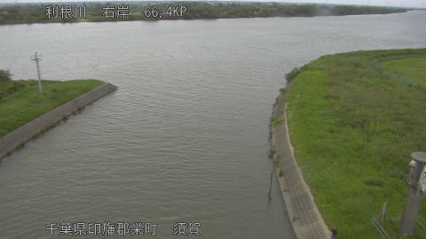 tonsu2026062316_image