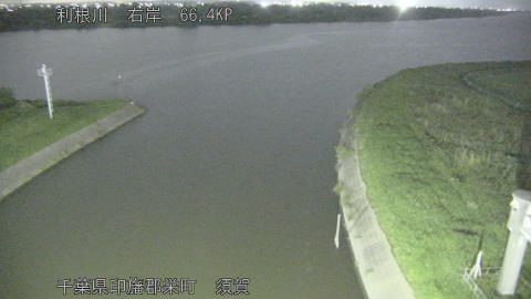 tonsu2026062321_image