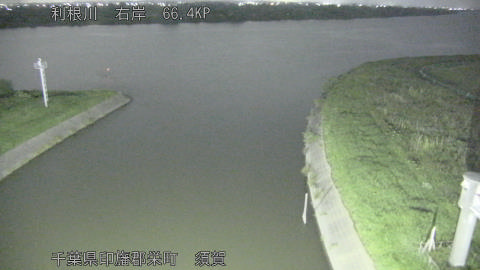 tonsu2026062323_image