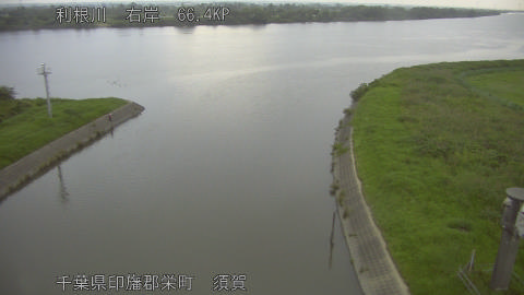 tonsu2026062405_image