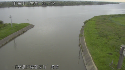 tonsu2026062406_image