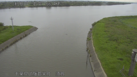 tonsu2026062407_image