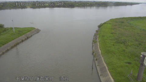 tonsu2026062408_image