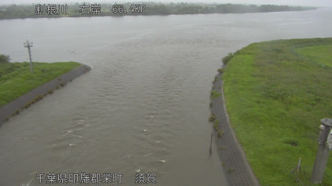 tonsu2026062508_image