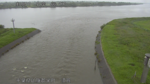 tonsu2026062509_image