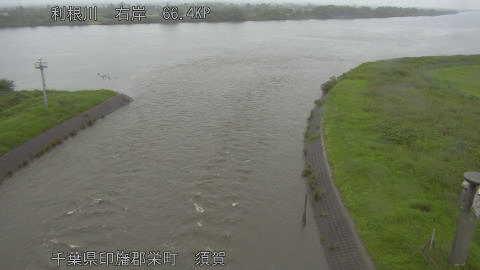 tonsu2026062510_image