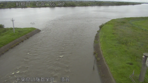 tonsu2026062514_image