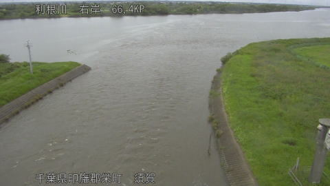 tonsu2026062515_image