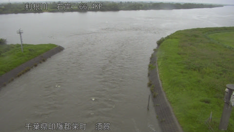 tonsu2026062517_image