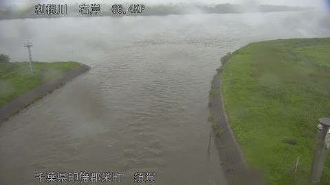 tonsu2026062518_image