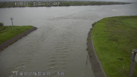tonsu2026062519_image