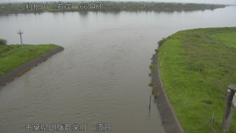 tonsu2026062606_image