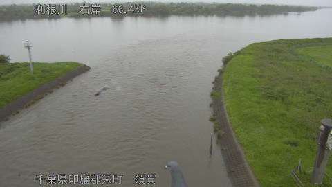 tonsu2026062607_image