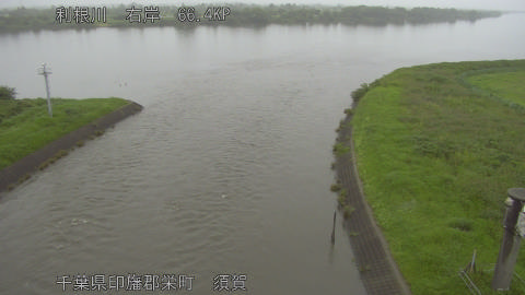 tonsu2026062608_image