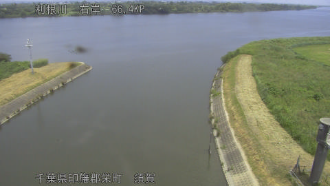 tonsu2026071512_image