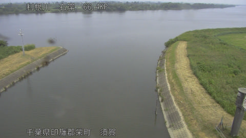 tonsu2026071612_image