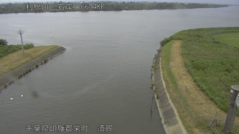 tonsu2026071712_image