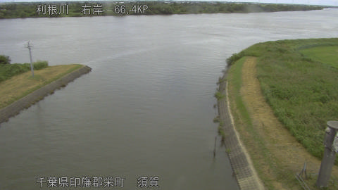 tonsu2026071812_image