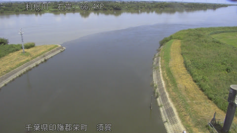 tonsu2026072012_image