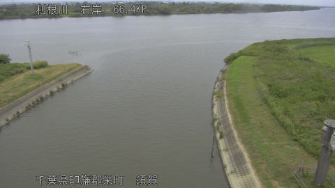 tonsu2026072412_image