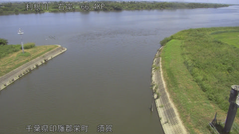 tonsu2026072512_image