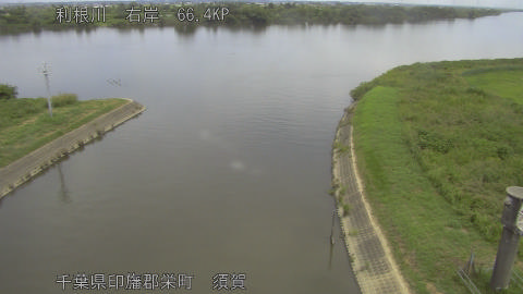 tonsu2026073012_image