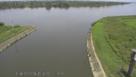 tonsu2026073112_image