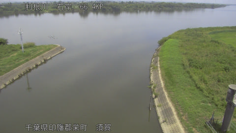 tonsu2026080112_image