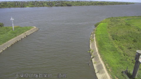 tonsu2026081012_image