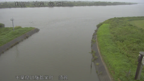 tonsu2026081112_image